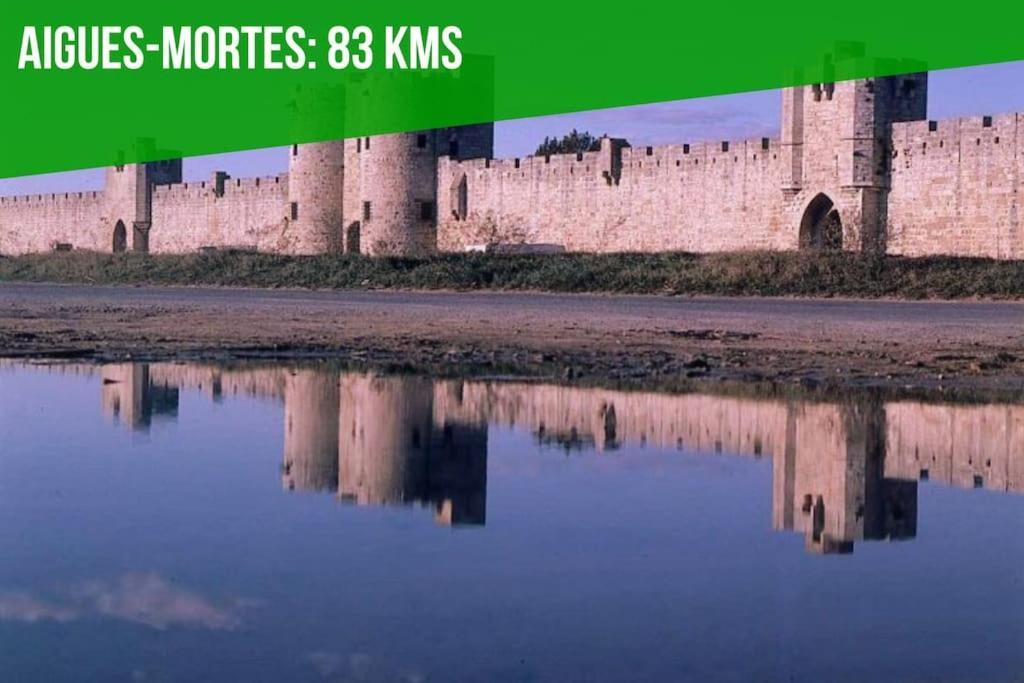 Apartament Les Arches - Belle Decoration - Wifi - Ac Clim Villeneuve-lès-Avignon Zewnętrze zdjęcie